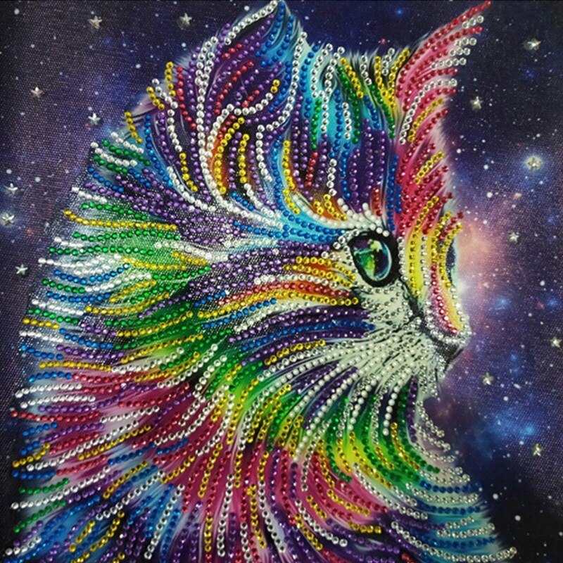 Cat In Multi color With Stars