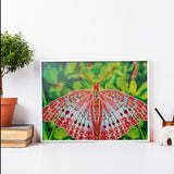 Pink Butterfly