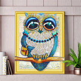 Cute Owl With Big Eyes