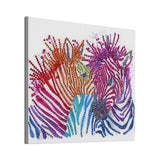 Amazing Colorful Zebra