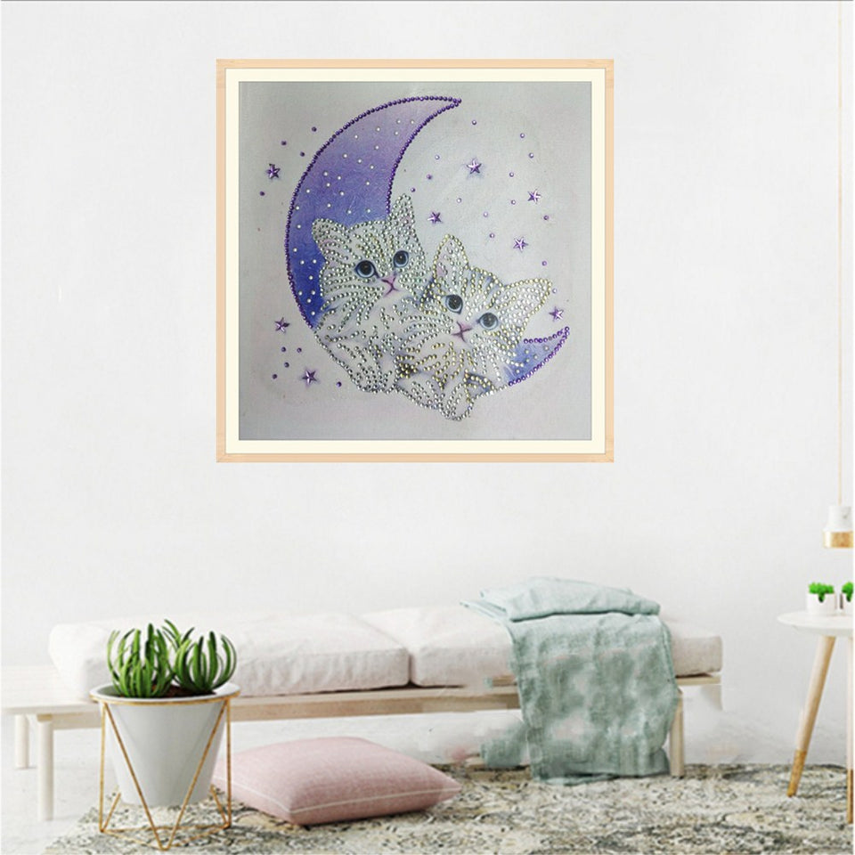 Two Cute Cats On Moon