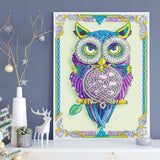 Cute Colorful Owl