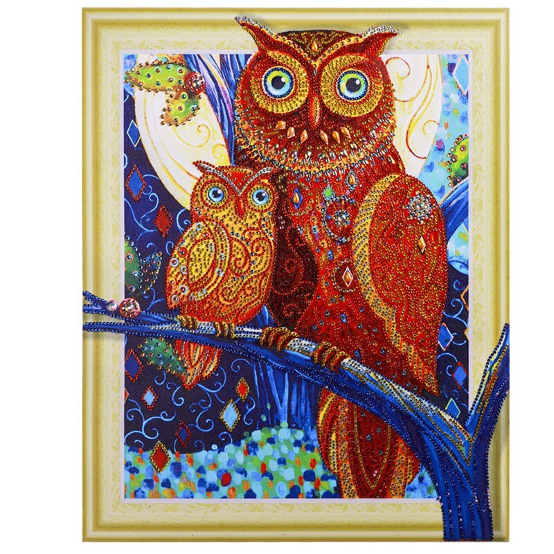 Two Colorful Owls On Tree