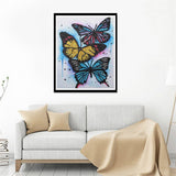 Three Colorful Butterfly