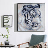 White And Black Tiger