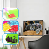 Cat On Couch Special Diamond Painting