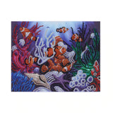 Under Water World