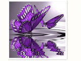 Purple Butterfly On Water