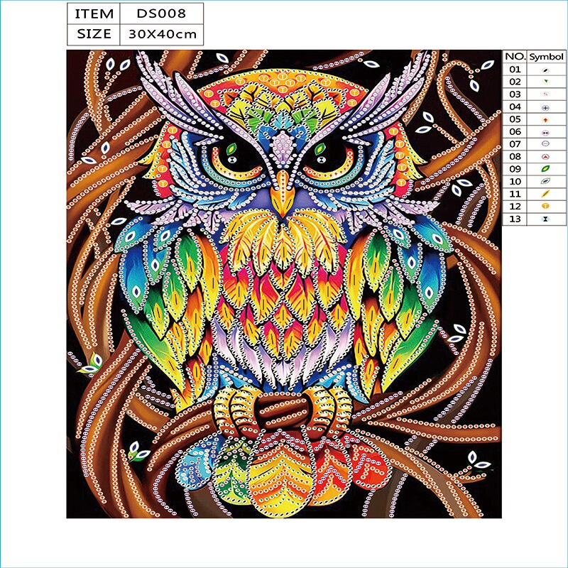 Lovely Owl Colorful