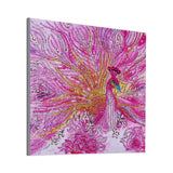 Pink Peacock