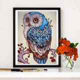 Colorful Owl On Branch