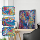 4Pcs Set Colorful Cats,Elephant And Skull Painting