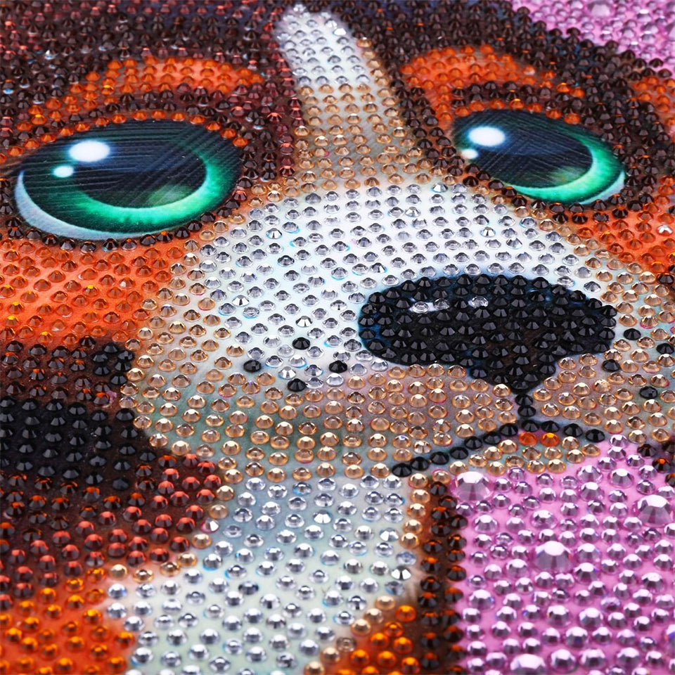 Sad Puppy Colorful Eyes