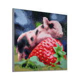 Pig With Strawberry
