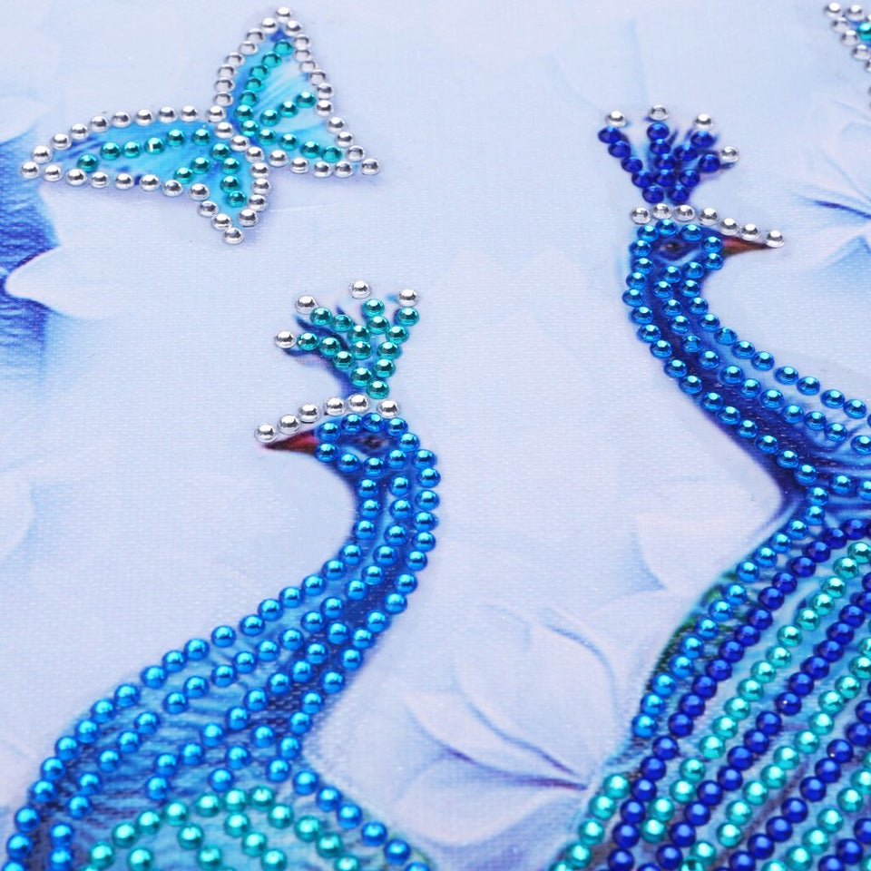 Two Beautiful Blue Peacocks