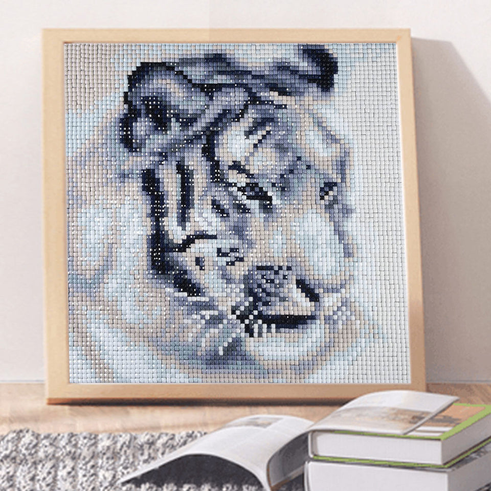 White And Black Tiger