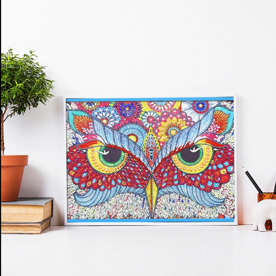 Colorful Owl Eyes
