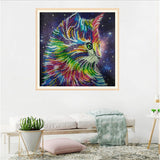 Cat In Multi color With Stars