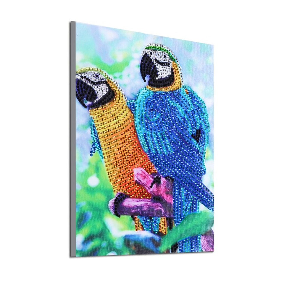 Two Beautiful Parrots