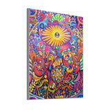 Lovely Colorful Flowers