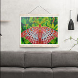Pink Butterfly
