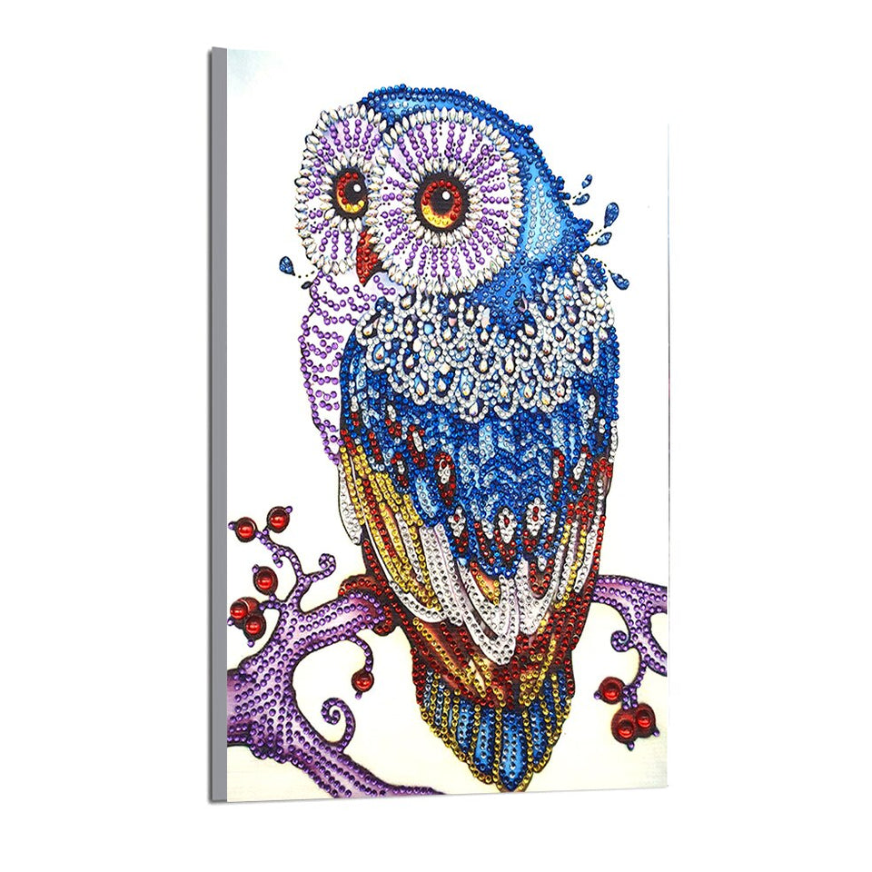 Colorful Owl On Branch