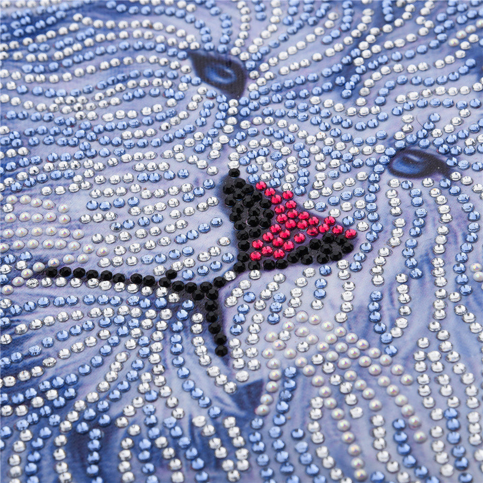 White lion With Red Nose