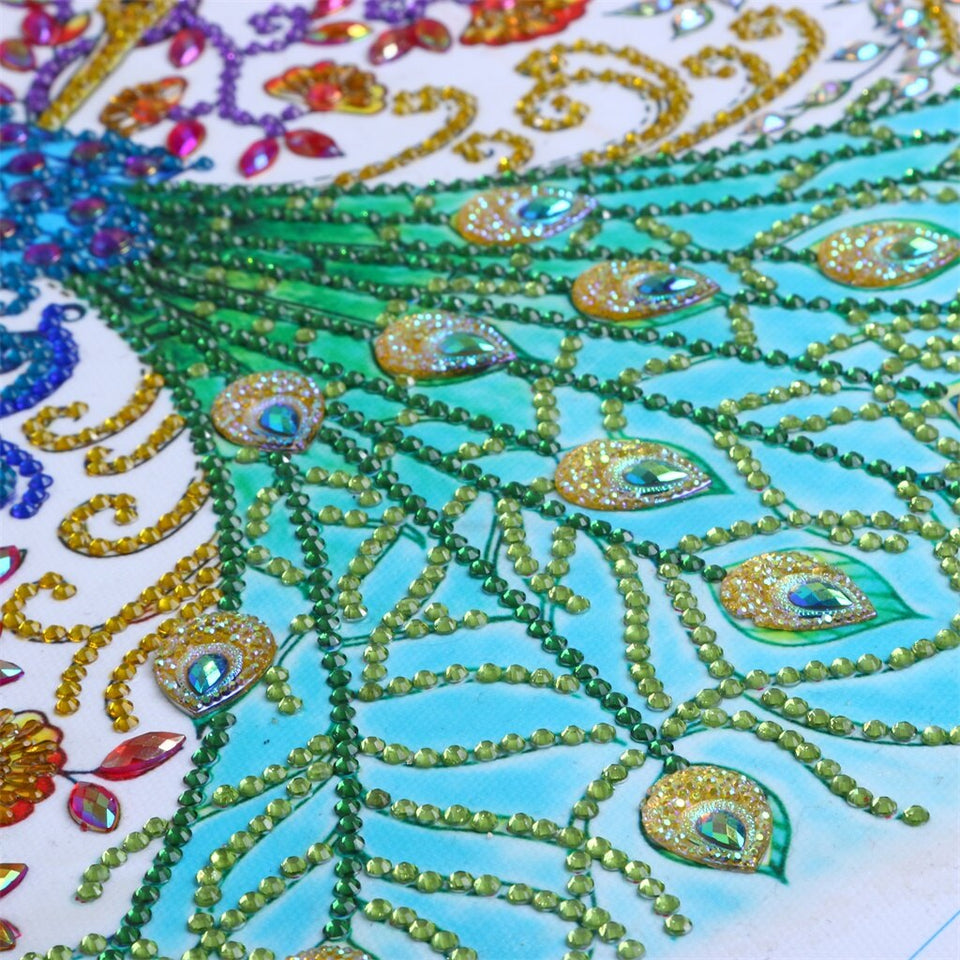 Multi Color Peacock Beautiful Painting