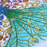 Multi Color Peacock Beautiful Painting