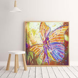 Lovely Colorful Butterfly