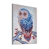 Cute Owl On Branch