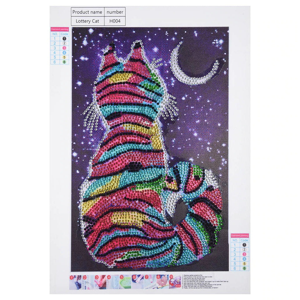 Cat With Moon And Stars In Night