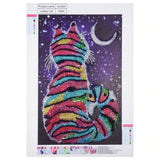 Cat With Moon And Stars In Night