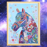 Horse Colorful