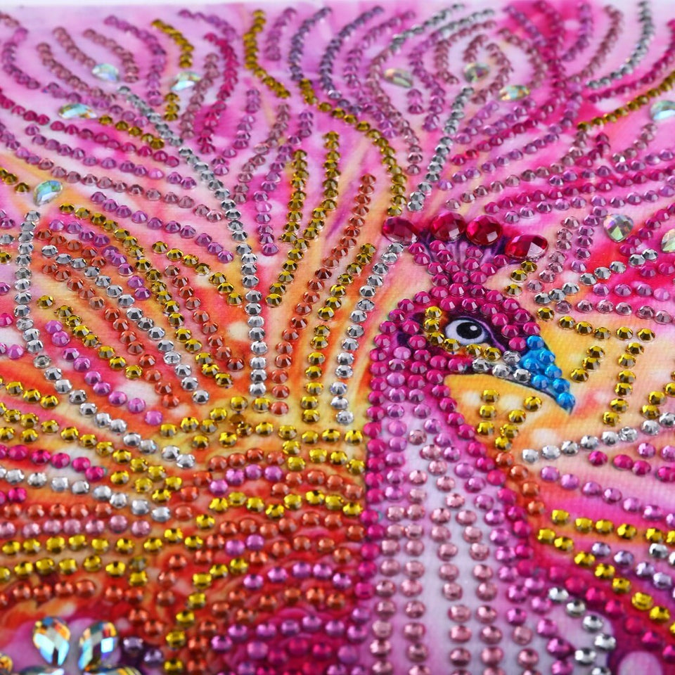 Pink Peacock