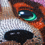 Sad Puppy Colorful Eyes