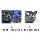 Cat With Yellow Eyes And Flowers Special Diamond Painting