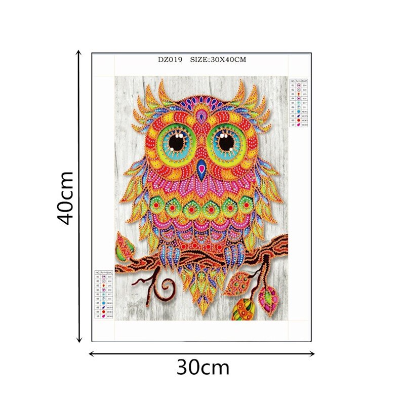 Big Eyes Cute Owl