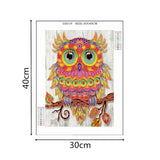 Big Eyes Cute Owl
