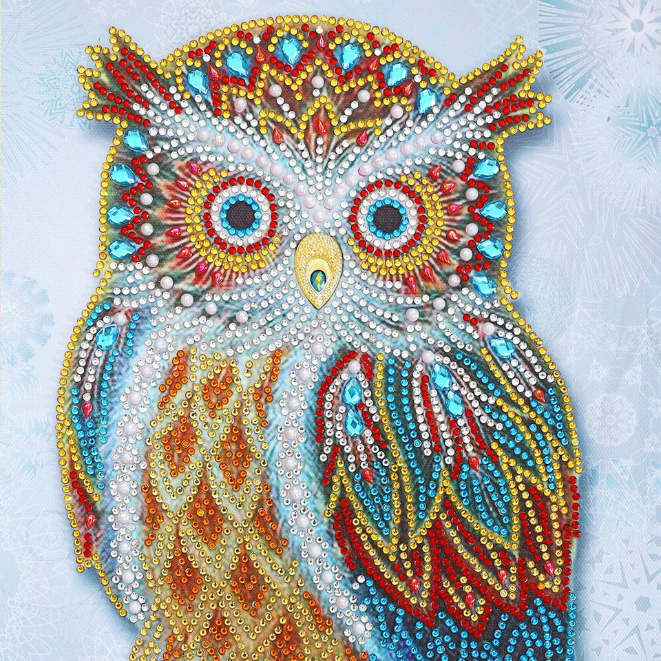 Multi color Owl Painting
