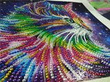Cat In Multi color With Stars