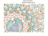 Peacock Special Painting