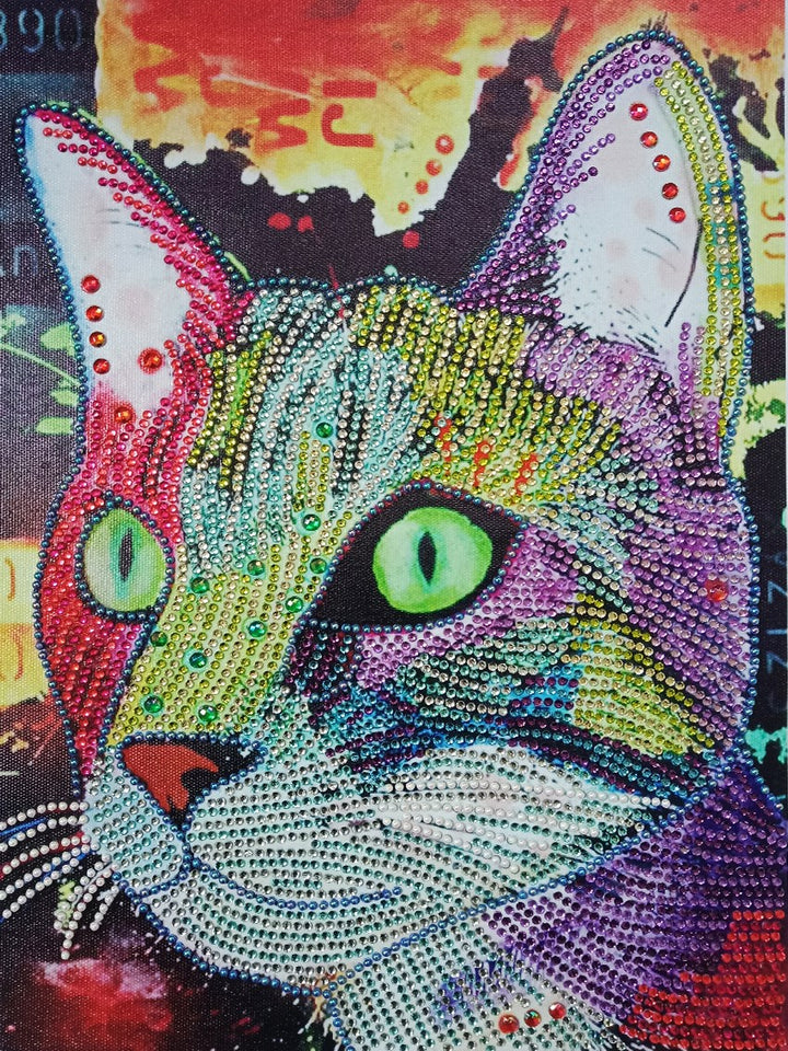 Colorful Cat