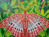 Pink Butterfly