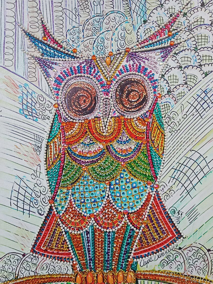 Lovely Multi color Owl