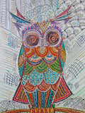 Lovely Multi color Owl