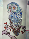 Confused Owl On Tree