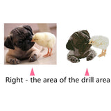 Cute Dog And Chick Special Diamond Painting