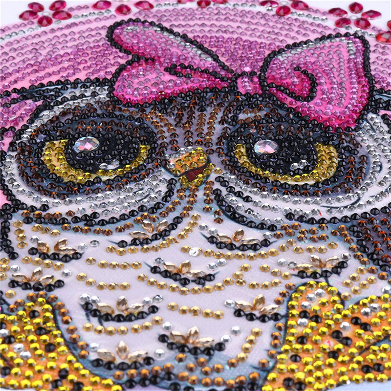 Cute Small Colorful Owl With Butterfly