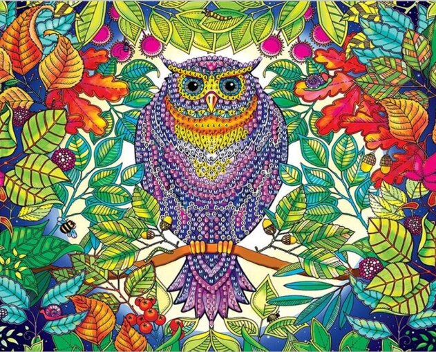 Colorful Owl On Tree